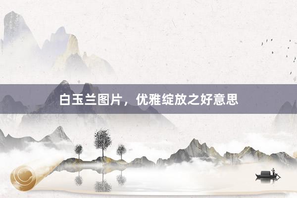 白玉兰图片，优雅绽放之好意思
