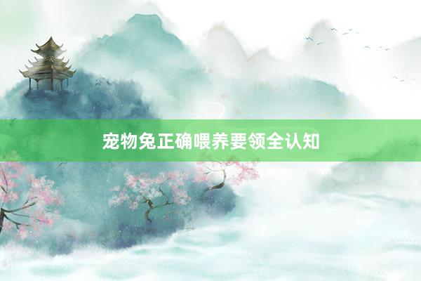 宠物兔正确喂养要领全认知