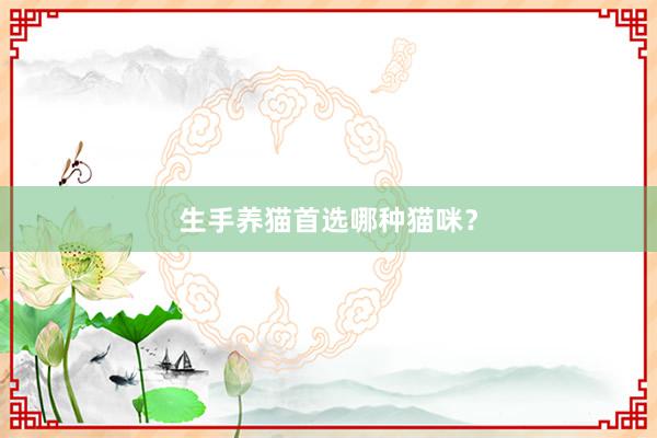 生手养猫首选哪种猫咪？