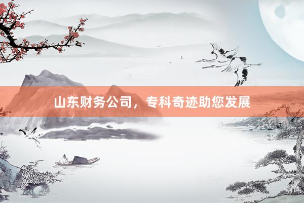 山东财务公司，专科奇迹助您发展